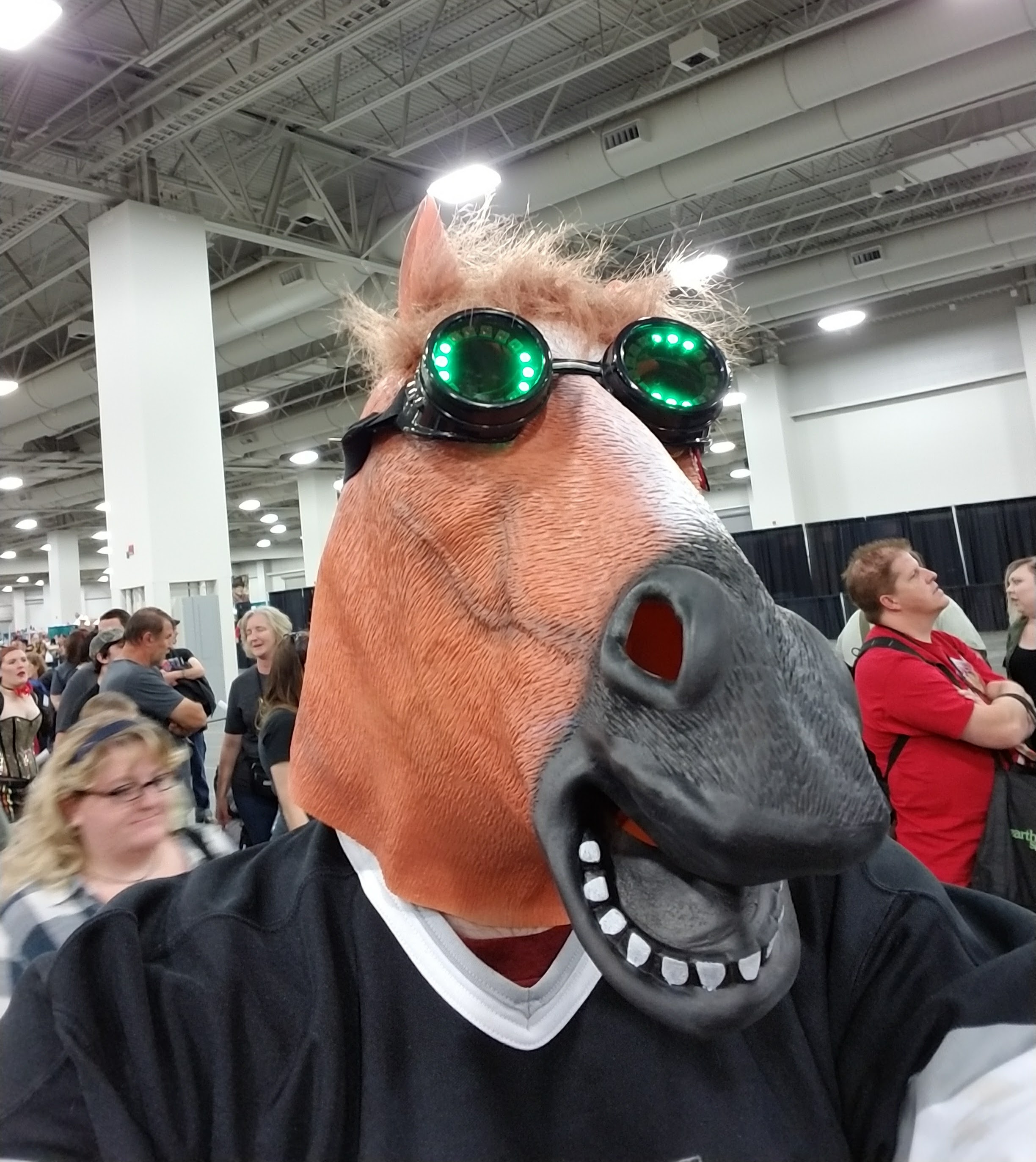 RGB LED Goggles, a horse mask, and a Los Angeles Kings hockey jersey